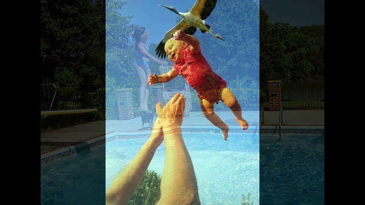 Funny Pictures That Will Make You Laugh [Full Episode]