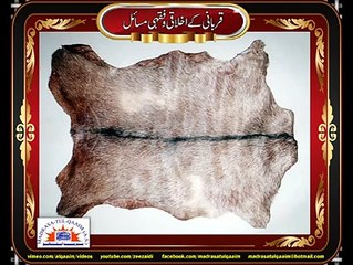 قربانی کے جانور کی کھال کا صحیح مصرف کیا ہے؟