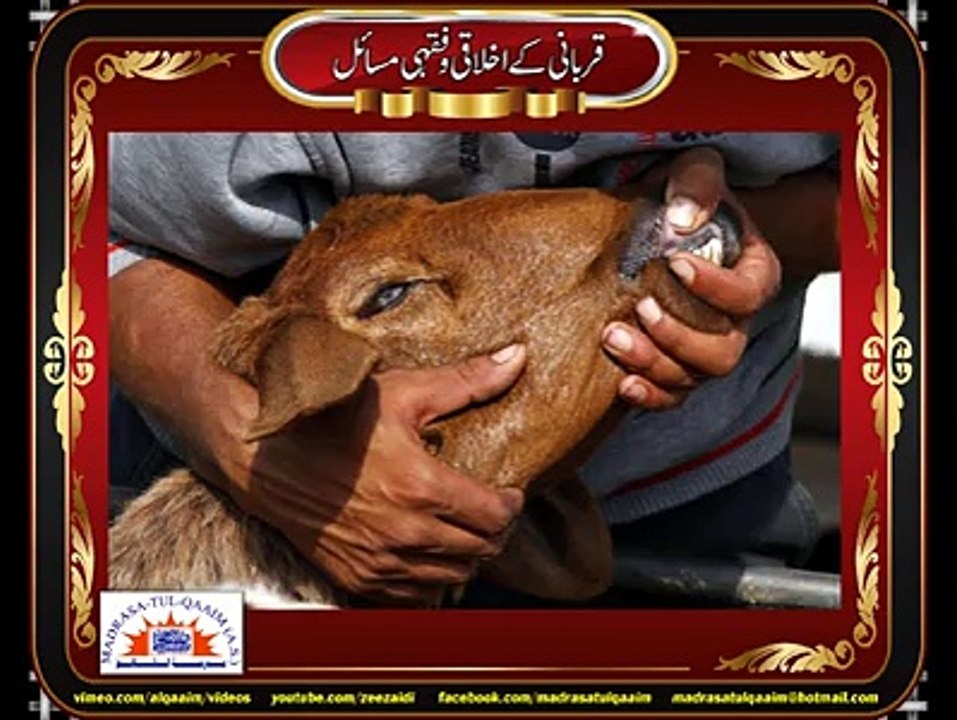کونسا جانور بہتر ہے؟