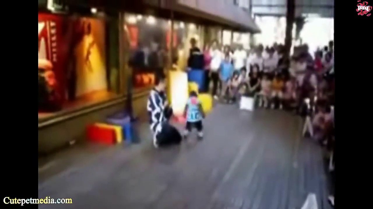 Most Funny Monkey Videos 2014 [Full Episode]