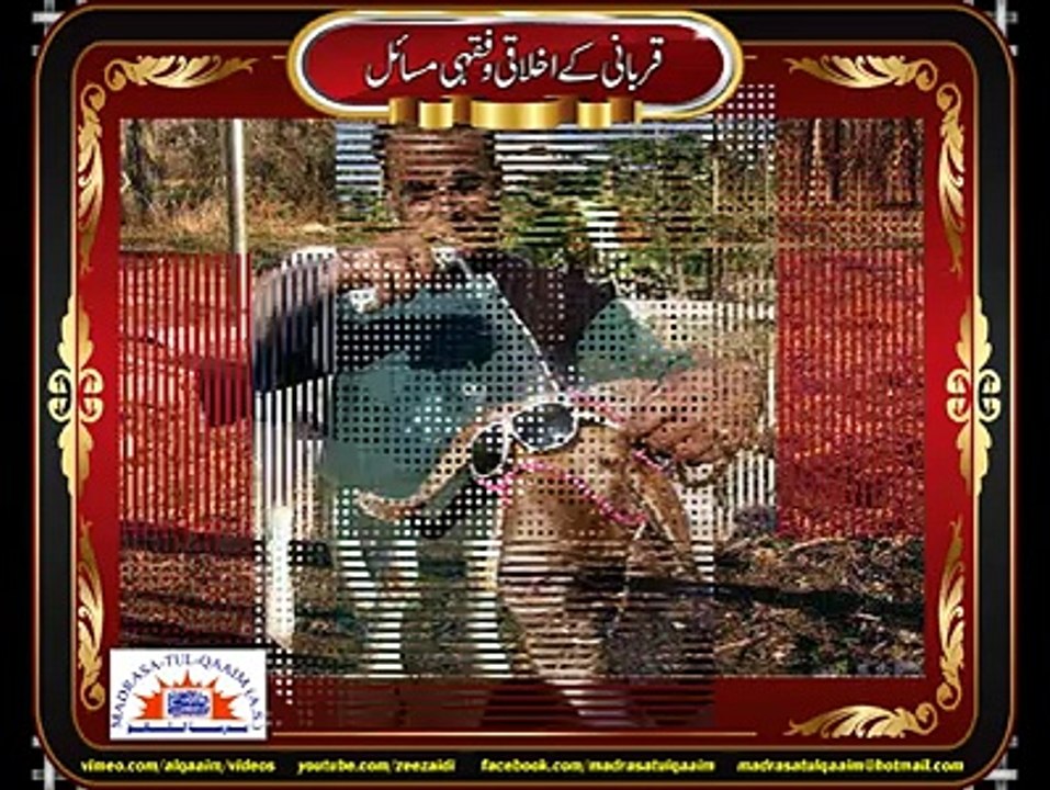 جانور کا مذاق اڑانا