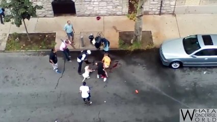 Deux pitbulls attaquent un homme sans défense