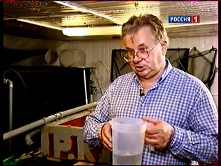 Африканский сом