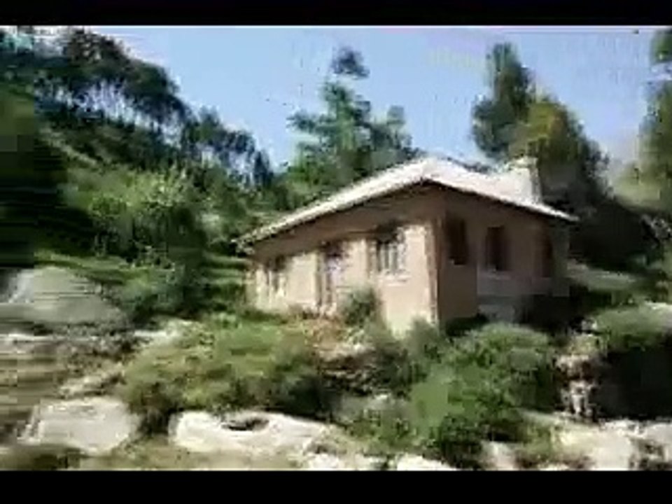 beutiful buner