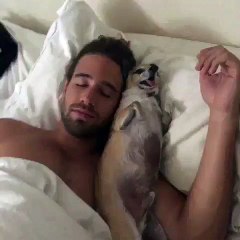 Trevor Holmes When You're trying to sleep and Bae wants to cuddle