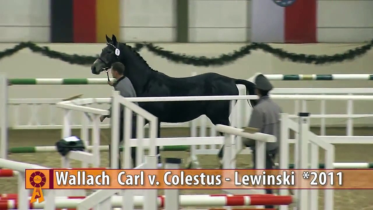 PARTNER PFERD Freispring-Cup 2015