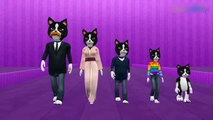 The Finger Family Cat Family Nursery Rhyme | Kids Finger Rhymes Songs By KidsgooseRhymes