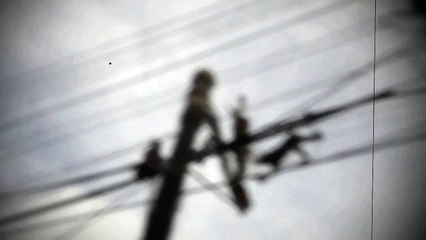 Hi-wire Thai Monkey Surrealism