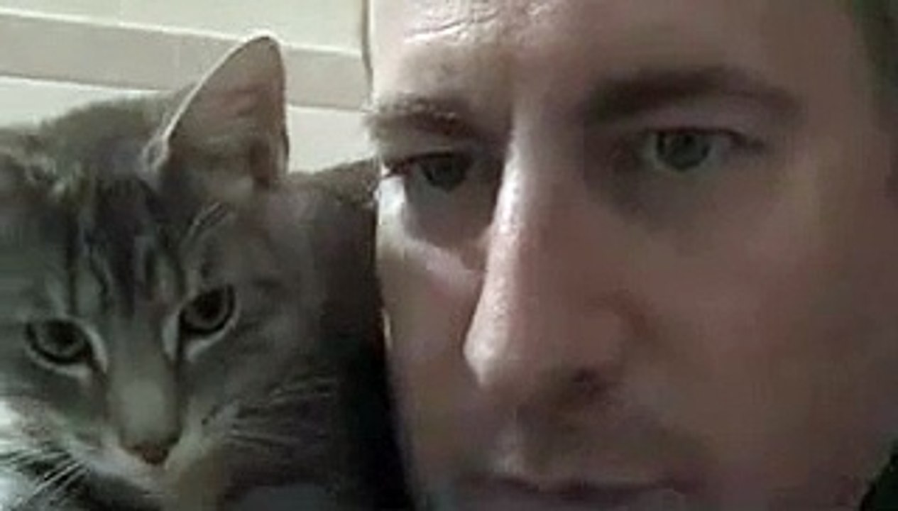 ThumbPer The Water Cat