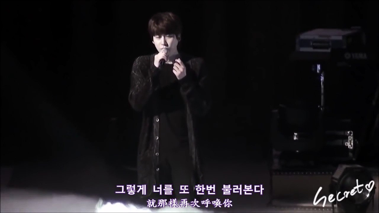 [ENG SUB] Kyuhyun - Wild Flower solo- Super Junior KRY  Asia Tour Phonograph