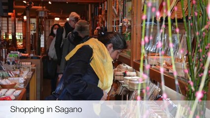 Japanese Acupuncture Study Tour in Kyoto, Japan