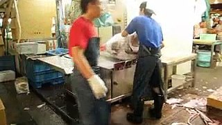 Tuna Processing at Tokyo Fish Market