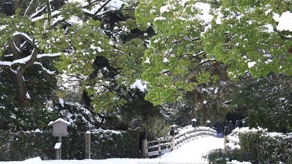 京都・雪の京都御所 Kyoto Japan 4K 動画 Snow FDRAX100