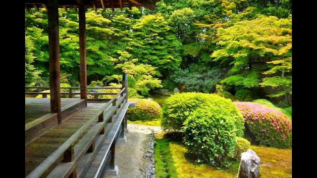 JAPANESE ROCK GARDEN in Kyoto, JAPAN 京都の石庭