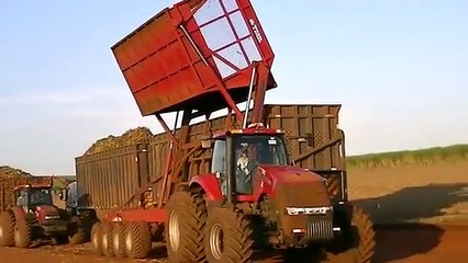 CANA DE AÇÚCAR E ETANOL OCUPA APENAS 2.4% DE TERRAS ARÁVEIS NO BRASIL