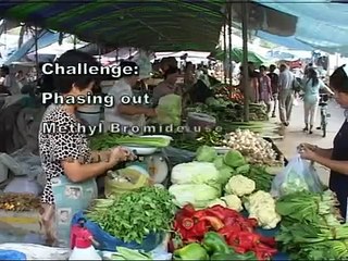 Return of the Ozone Layer: Section 4 of 7