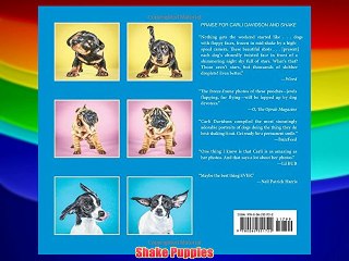 Shake Puppies Download Free