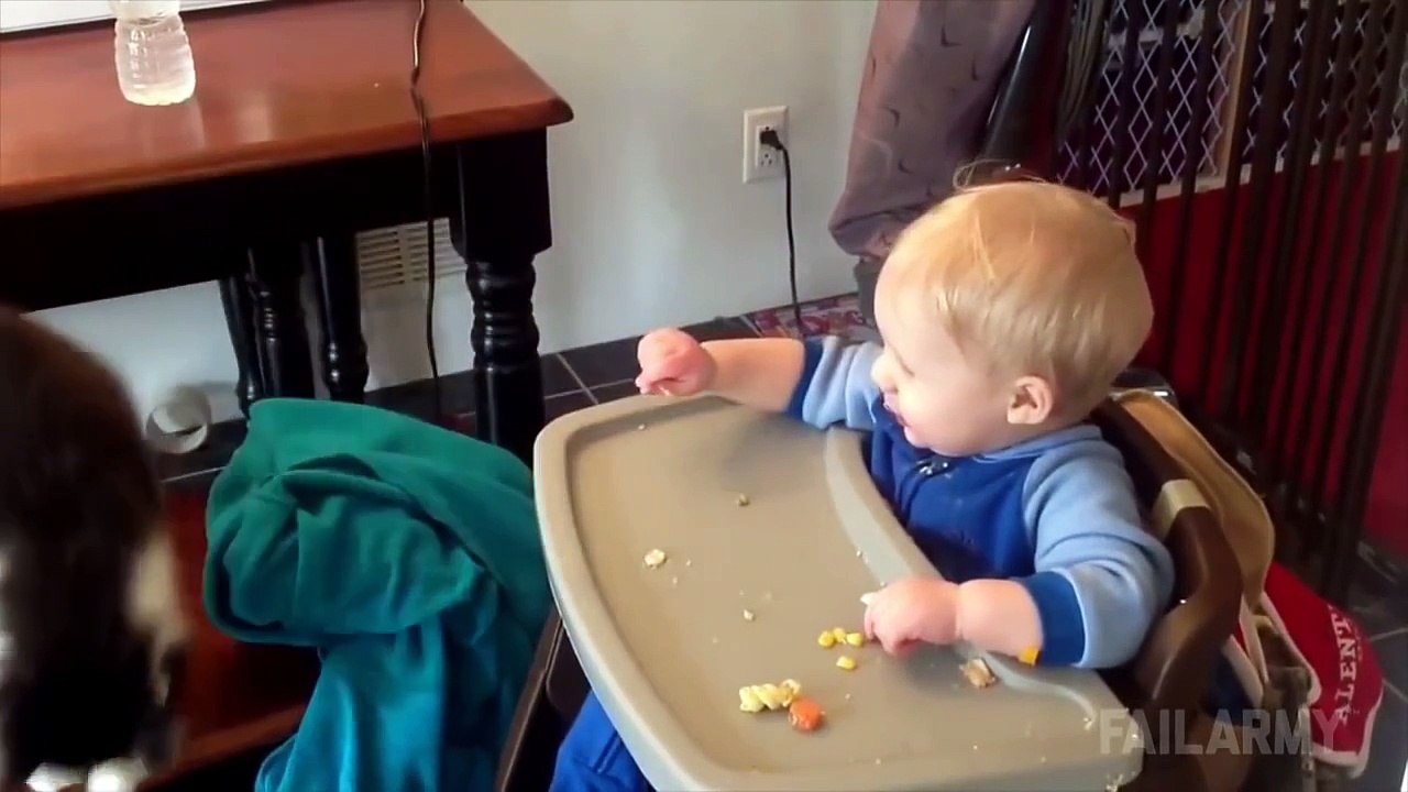 Funny Videos 2015 - Funny Cats And Dogs - Funny Fails - Funny Pranks - Funny Vines 2015 [Full Episode]