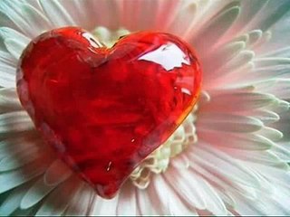 Yaşar YAĞMUR - Canım Efendim