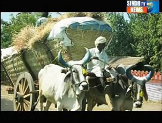 Sindhtv News Documentary Je Yaar Fareed Qabool Kare Part 03