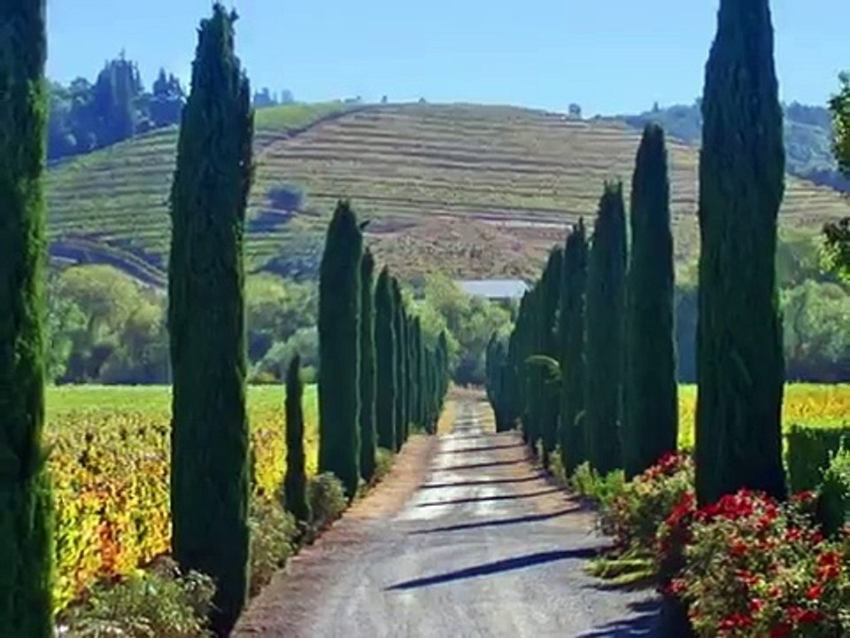 Toše Proeski - Jovano,Jovanke / relaxing music / Best music ever