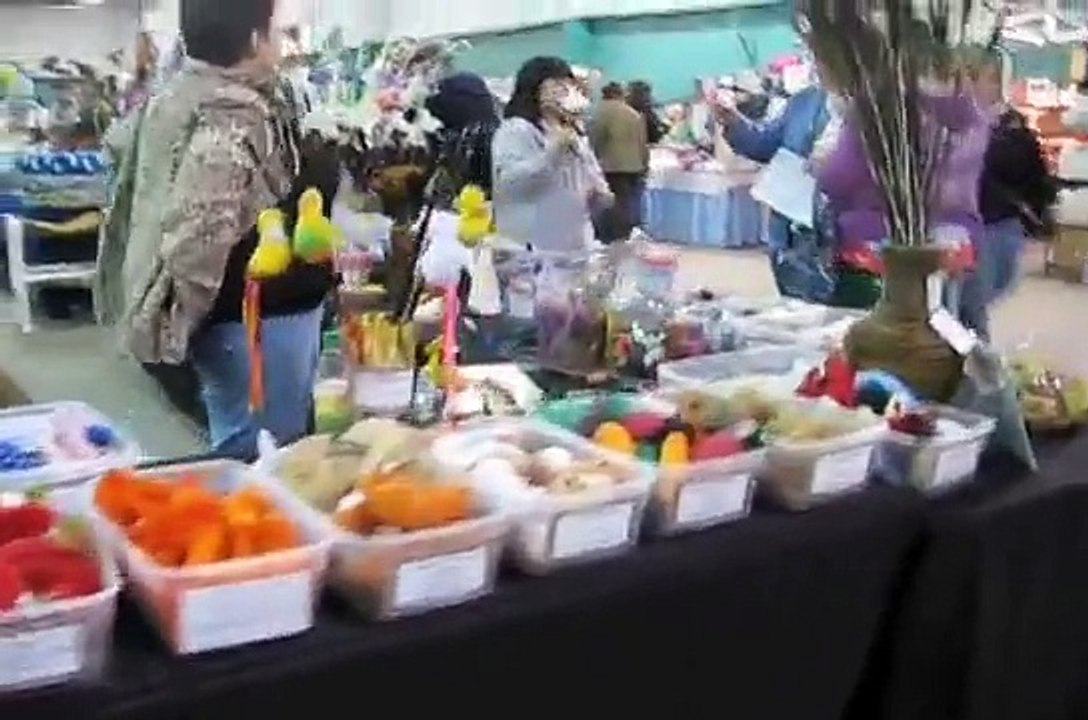 Cat Show