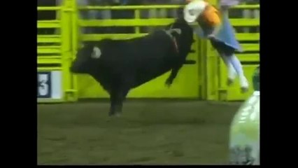 Most interesting videos on dailymotion/youtube