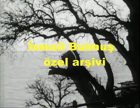 Münir Nurettin Selçuk / Sana dün bir tepeden baktım