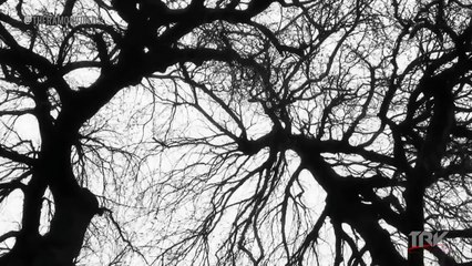 ► Sting 4th Custom Return Entrance Video Titantron 2015 ᴴᴰ ◄