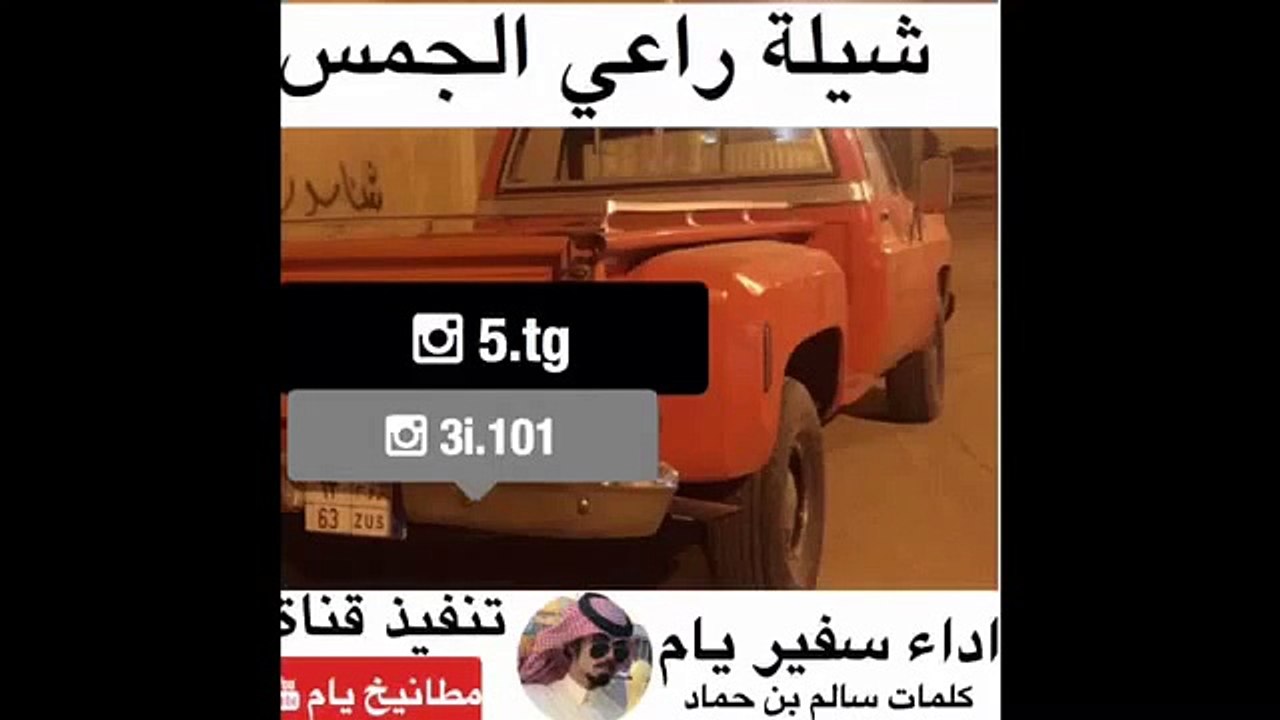 شيلة راعي الجمس كلمات سالم بن حماد لسلوم اداء سفير يام