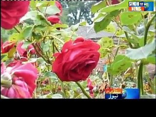 Sindhtv News Documentary Abdul karim Gadai  part 01