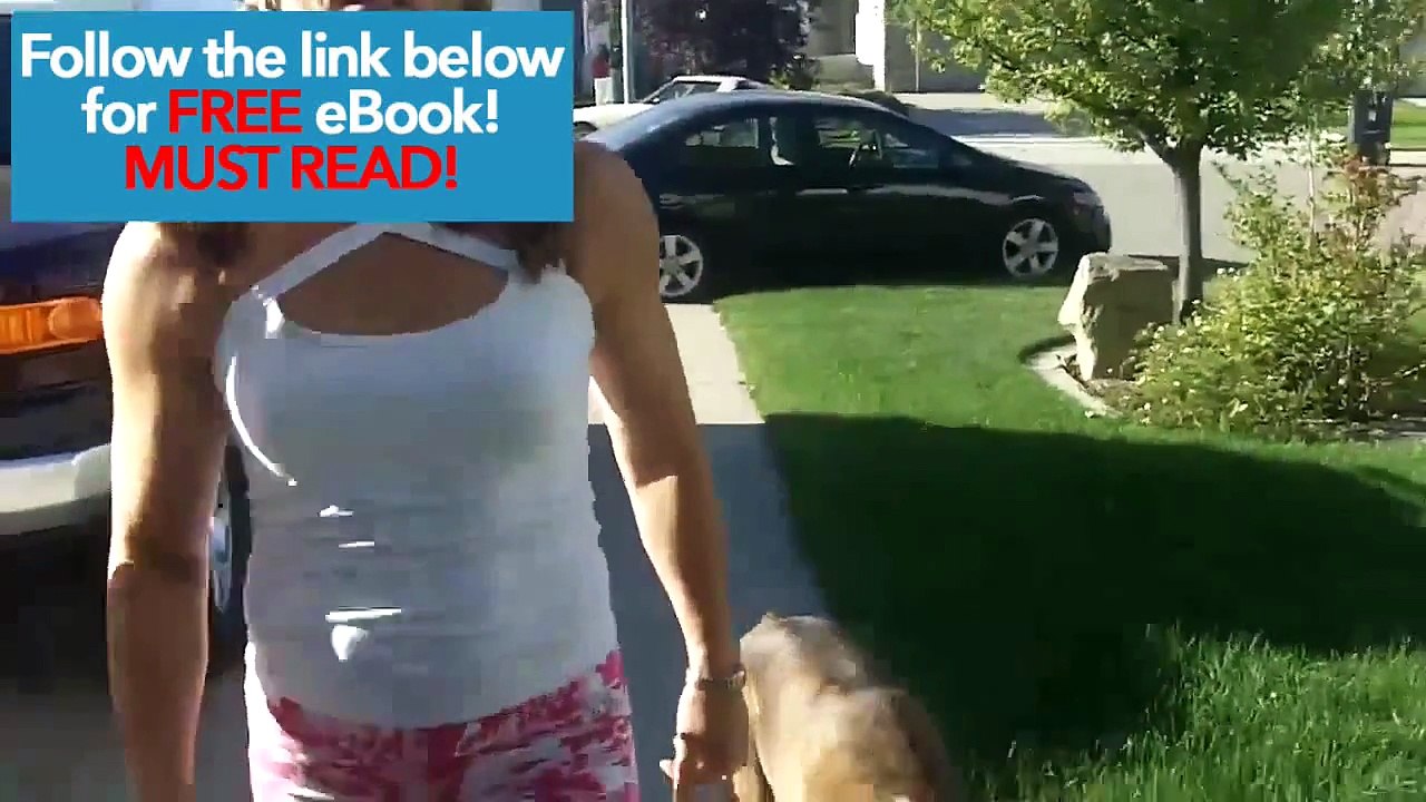 Fat Loss Diets - How To Lose Belly Fat Now