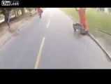 Cyclist knocked off his bike, then it gets stolen