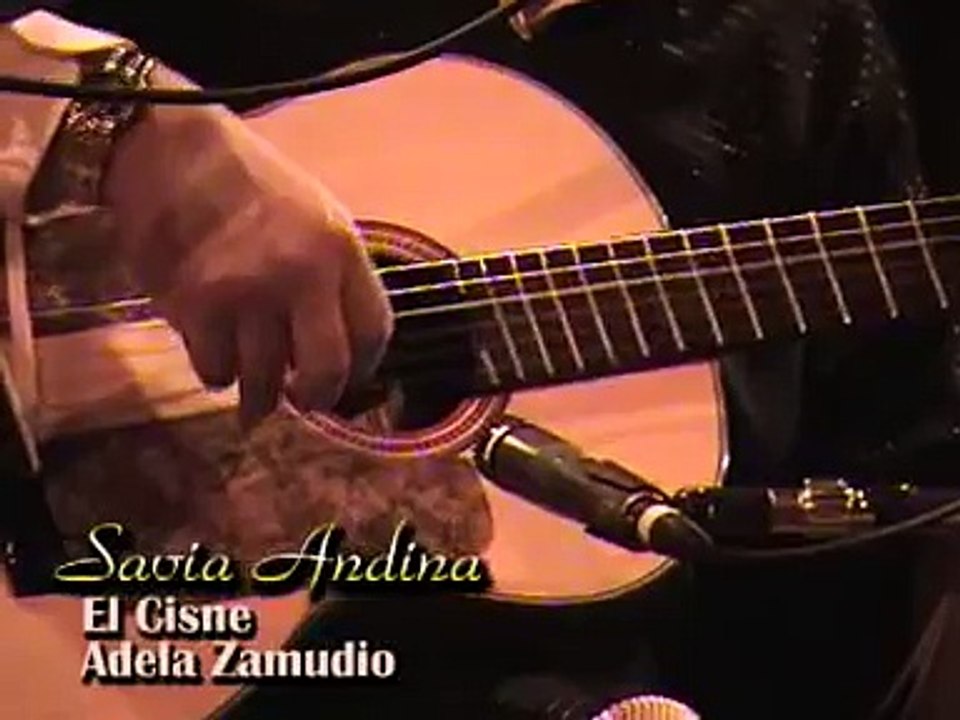 Savia Andina - El cisne