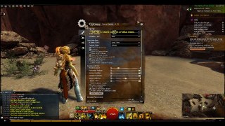 (Guild Wars 2) Twin Pigtails NO PHYSICS!