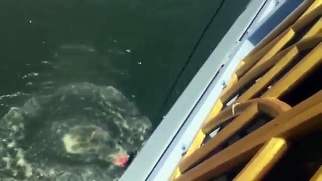 Fail - Soit l'élastique était trop long, soit ceux qui l'ont préparé était trop C -