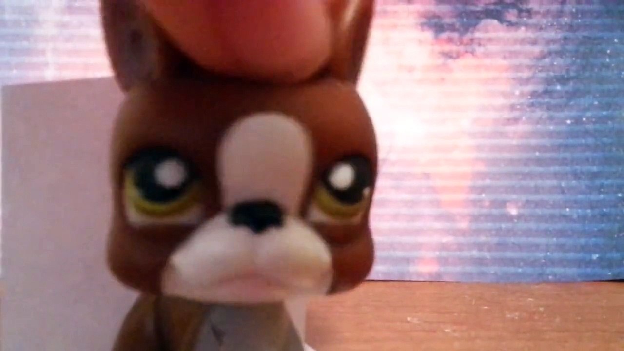 Lps. Albert Einstein vs Steven Hawking