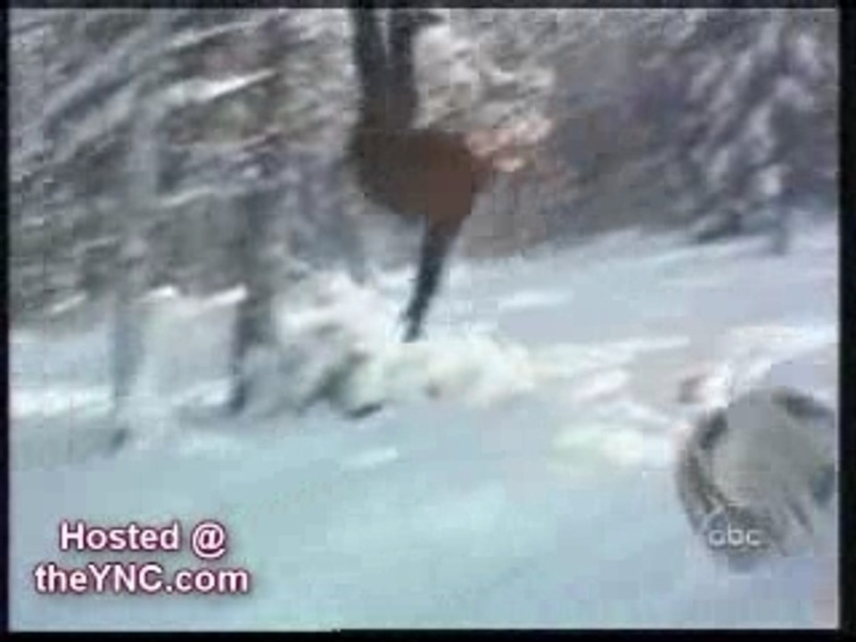 Ski-gag