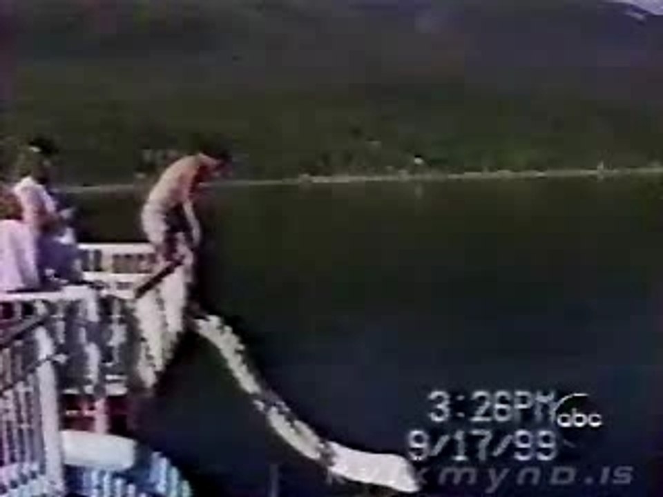 Glissade betisier
