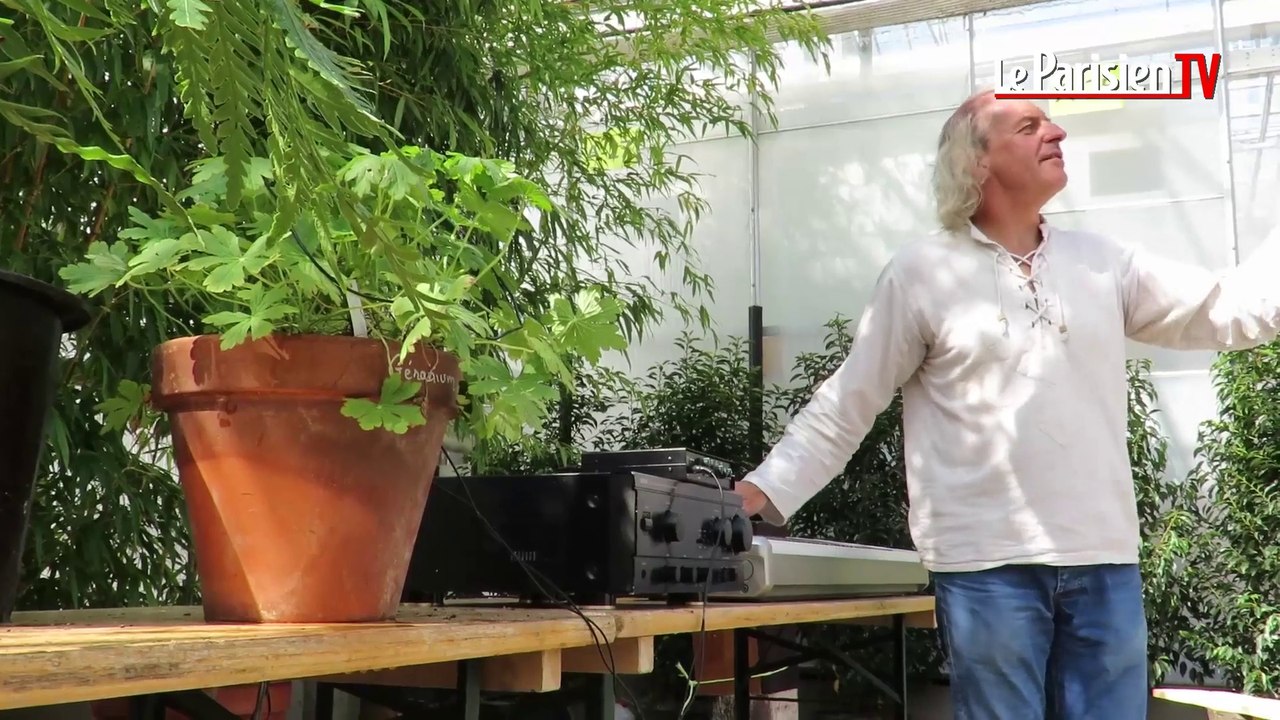 Il fait chanter les géraniums et les fougères