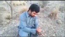 funny pathan in action Pashto funny clip