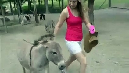 نیکر پہنے انگریز لڑکی کیساتھ پاکستانی کھوتوں نے کیا سلوک کیا .... دیکھیں ویڈیو