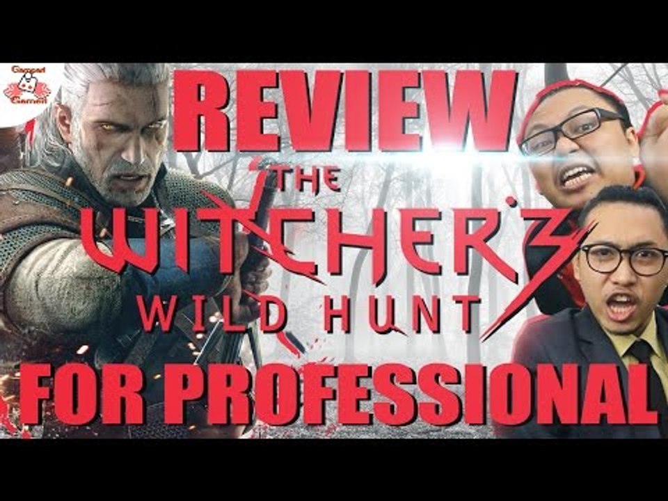 Review Witcher 3 For Professional