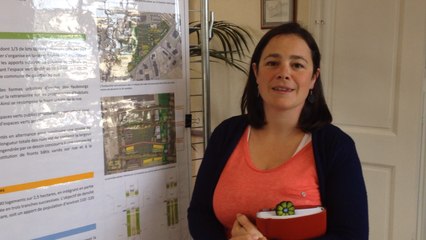 Ecoquartier : des documents à la mairie