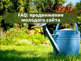 ПРОДВИЖЕНИЕ МОЛОДОГО САЙТА БЫСТРЫЙ СТАРТ