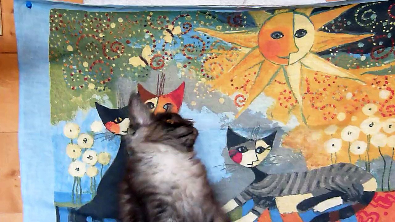 13-9-15 Linette vidéo