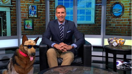 2015 Snickers Gameday Satisfaction Week 1