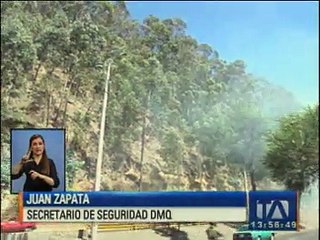Se registran once indecios forestales activos