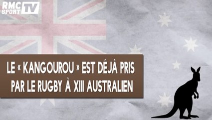 Histoires du Rugby - Les Emblèmes des nations