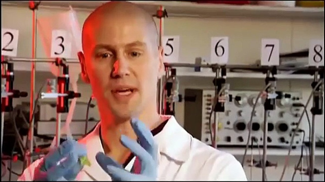 THE EVOLUTION OF VENOM   NOVA   EVOLUTION   Discovery Animals Nature full documentary